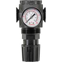 MODULAIR 300 Zinc Diaphragm Regulator, 3/8" NPT, 300 psi Max. PSI, In Line/Modular Pathway Supply LP