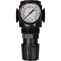 MODULAIR 300 Compressed Air Regulator, 1/2" NPT, 300 psi Max. PSI, In Line/Modular Pathway Supply LP