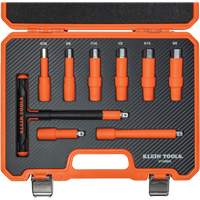 Insulated T-Handle & Hex Bit Set with Case, 1000 V, 9 Pcs Pathway Supply LP