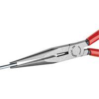 Pince &agrave; bec long avec coupe-fil, 8" lo Pathway Supply LP