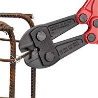 Large Bolt Cutters, 30" L, Center Cut Pathway Supply LP