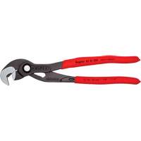 Pince Raptor, 10" Pathway Supply LP