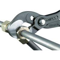 Pince Raptor, 10" Pathway Supply LP