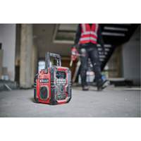 TE-CR 18 Li DAB+/FM/BT Cordless Radio (Tool Only), Lithium-Ion, 18 V Pathway Supply LP