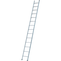 Industrial Heavy-Duty Extension/Straight Ladders, 8', Aluminum, 300 lbs., CSA Grade 1A Pathway Supply LP
