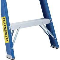 Industrial Duty Stepladders (6300 Series), 4', Fibreglass, 250 lbs. Capacity, Type 1 Pathway Supply LP