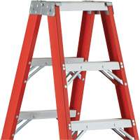 6600 AA Series Industrial Extra Heavy-Duty 2-Way Stepladders, Fibreglass, 375 lbs. Capacity, 4' Pathway Supply LP