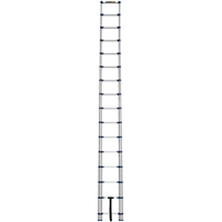 Telescopic Ladder, 3' - 15.5', Aluminum, 250 lbs. Capacity, Type 1 Pathway Supply LP