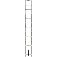 Telescopic Ladder, 3' - 12', Aluminum, 250 lbs. Capacity, Type 1 Pathway Supply LP