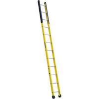 Single Manhole Ladder, 12', Fibreglass, 375 lbs., CSA Grade 1AA Pathway Supply LP