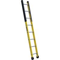 Single Manhole Ladder, 8', Fibreglass, 375 lbs., CSA Grade 1AA Pathway Supply LP