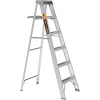 Step Ladder with Paint Tray, 6', Aluminum, 225 lbs. Capacity, Type 2 Pathway Supply LP