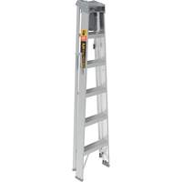 Step Ladder with Paint Tray, 6', Aluminum, 225 lbs. Capacity, Type 2 Pathway Supply LP