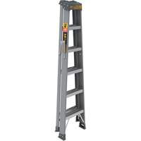 Step Ladder, 6', Fibreglass, 225 lbs. Capacity, Type 2 Pathway Supply LP
