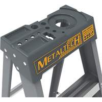 Step Ladder with Paint Tray, 6', Fibreglass, 225 lbs. Capacity, Type 2 Pathway Supply LP