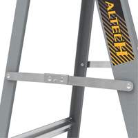 Step Ladder with Paint Tray, 6', Fibreglass, 225 lbs. Capacity, Type 2 Pathway Supply LP