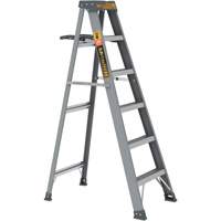 Step Ladder with Paint Tray, 6', Fibreglass, 225 lbs. Capacity, Type 2 Pathway Supply LP