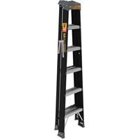 Step Ladder, 6', Fibreglass, 250 lbs. Capacity, Type 1 Pathway Supply LP