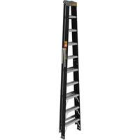 Step Ladder, 10', Fibreglass, 250 lbs. Capacity, Type 1 Pathway Supply LP
