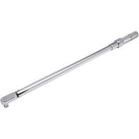 Fixed Head Micrometer Torque Wrench, Click, 1/2" Square Drive, 50-250 ft-lbs. Pathway Supply LP