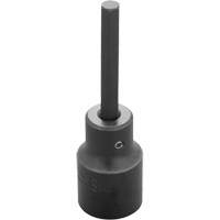 Socket Bit, Hex, 6 mm x 3-1/4" L, 1/2" Drive Pathway Supply LP