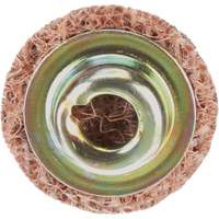 Standard Abrasives Quick-Change Surface Conditioning Disc, 3/4" Dia., Coarse Grit, Aluminum Oxide Pathway Supply LP