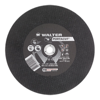 Portacut High Speed Cut-Off Wheel, 12" x 1/8", 3/4" Arbor, Type 1, Silicon Carbide, 6300 RPM Pathway Supply LP