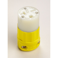 Connecteur de broches droites mis &agrave; la terre &agrave; deux bornes et trois fils, 5-20P, Nylon Pathway Supply LP