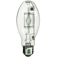 Ampoules pour lampe de travail Pathway Supply LP