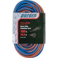 Cordon rallonge en caoutchouc TPE avec indicateur lumineux, Toutes saisons, SJEOW, AWG 14/3, 13 A, 100' Pathway Supply LP