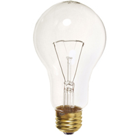 Economy Line Incandescent Lamps Pathway Supply LP