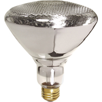 Economy Line Incandescent Lamps Pathway Supply LP
