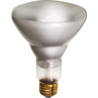 Economy Line Incandescent Lamps Pathway Supply LP