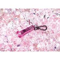 Lampes de poche Nano Light Pathway Supply LP