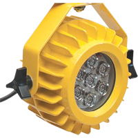 Lampe robuste DEL pour les quais - t&ecirc;te seulement Pathway Supply LP