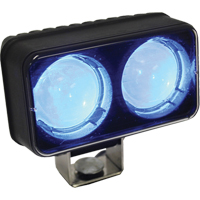 Safe-Lite Pedestrian LED Warning Lamp XE491 | Pathway Supply LP