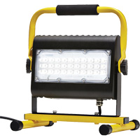 Flood Light, LED, 50 W, 4800 Lumens, Aluminum Housing Pathway Supply LP