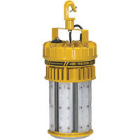 ProLight 360° Industrial Light Kit, LED, 120 W, 15000 Lumens, Plastic Housing Pathway Supply LP