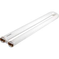 OCTRON&reg; 800 CURVALUME Fluorescent Lamps, 31 W, T8 U-Shaped, 4100 K, 22.5" Long Pathway Supply LP