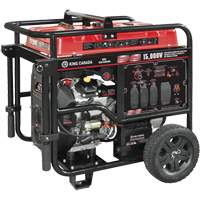 V-Twin Gasoline Generator, 15000 W Surge, 12500 W Rated, 120 V/240 V, 40 L Tank Pathway Supply LP
