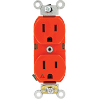 Prise double de calibre industriel tr&egrave;s robuste Pathway Supply LP