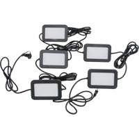 LED String Work Lights, 5 Lights, 50' L, Plastic Housing Pathway Supply LP