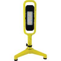 Beacon Infinity Light Floor Stand with Magnetic Mount, LED, 40 W, 5400 Lumens, Plastic/Aluminum Housing Pathway Supply LP