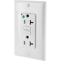 SmartlockPro&reg; Extra Heavy-Duty Self-Test GFCI Receptacle Pathway Supply LP