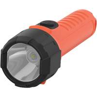 Intrinsically Safe&reg; Handheld Flashlight, LED, 150 Lumens, AA Batteries Pathway Supply LP
