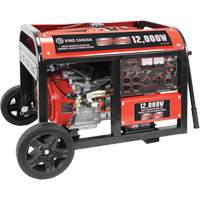 Electric Start Gas Generator with Wheel Kit, 12000 W Surge, 9000 W Rated, 120 V/240 V, 31 L Tank Pathway Supply LP