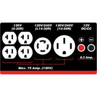 Gasoline/Propane Generator with Electric Start Pathway Supply LP