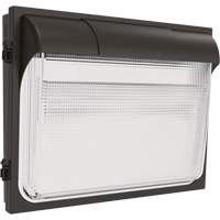 TWX3 Wall Luminaire, LED, 347 V, 14" H x 18" W x 5" D Pathway Supply LP