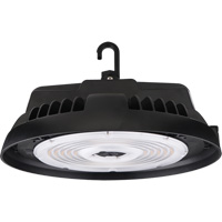 Luminaire pour tr&egrave;s grande hauteur de s&eacute;rie HBX2, DEL, 277 - 480 V, 300 W Pathway Supply LP