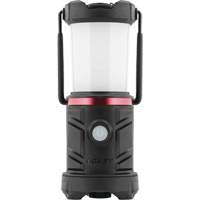 EAL13 Emergency Area Lantern Pathway Supply LP